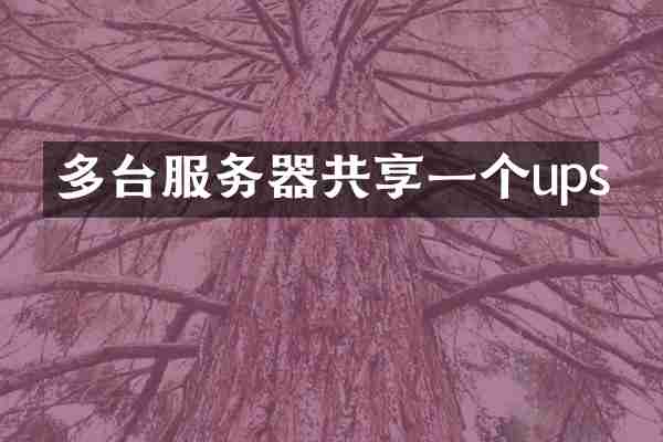 多台服务器共享一个ups