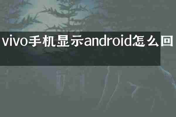 vivo手机显示android怎么回事