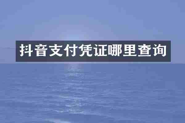 抖音支付凭证哪里查询