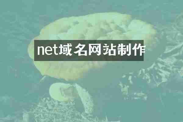 net域名网站制作
