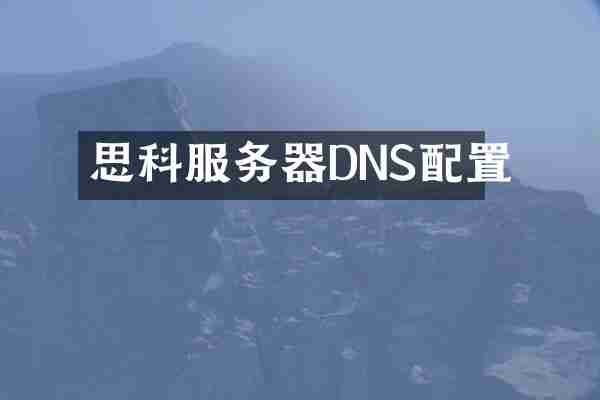 思科服务器DNS配置