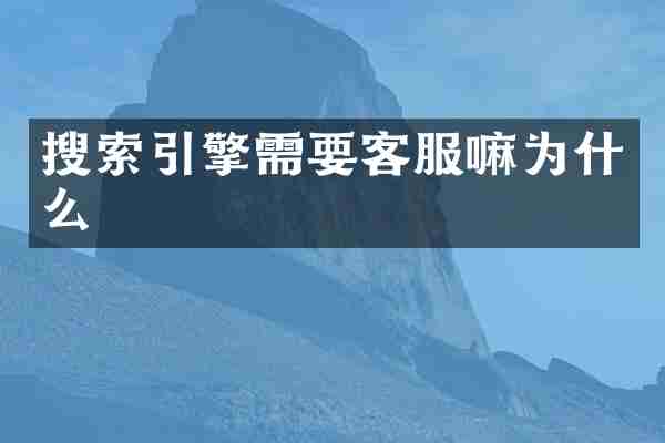 搜索引擎需要客服嘛为什么
