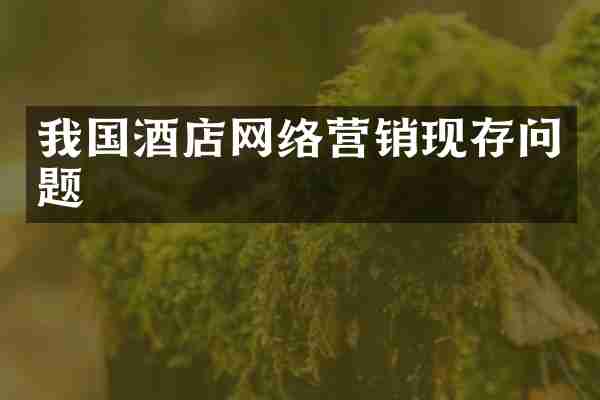 我国酒店网络营销现存问题