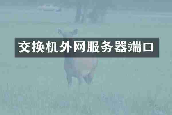 交换机外网服务器端口