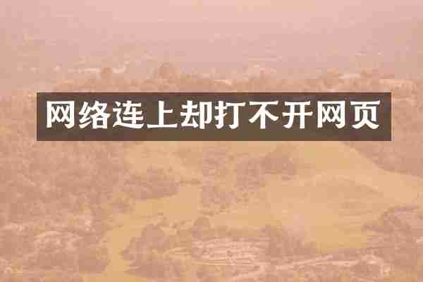网络连上却打不开网页
