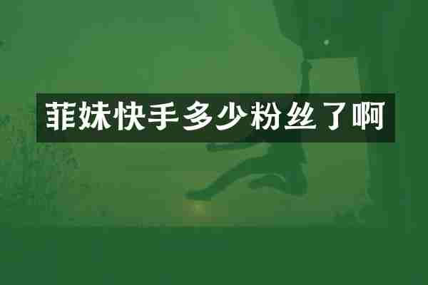 菲妹快手多少粉丝了啊