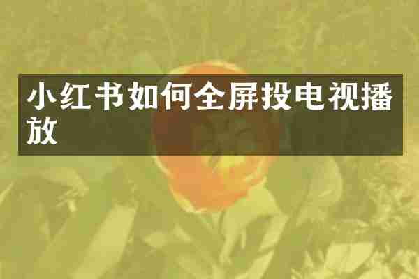 小红书如何全屏投电视播放