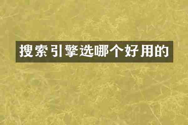 搜索引擎选哪个好用的