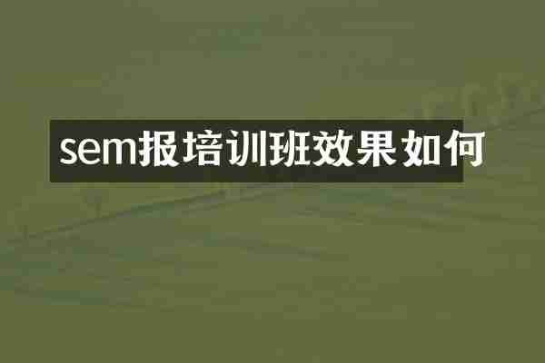 sem报培训班效果如何