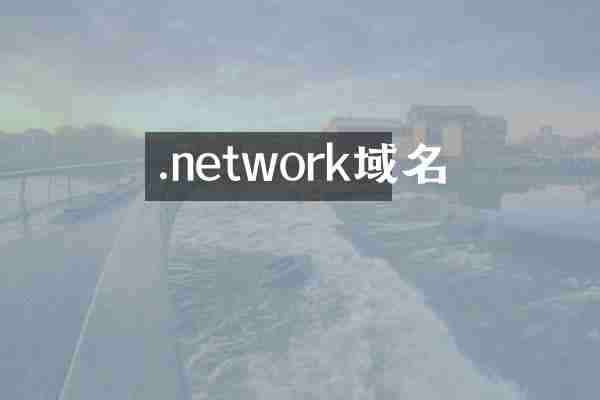 .network域名