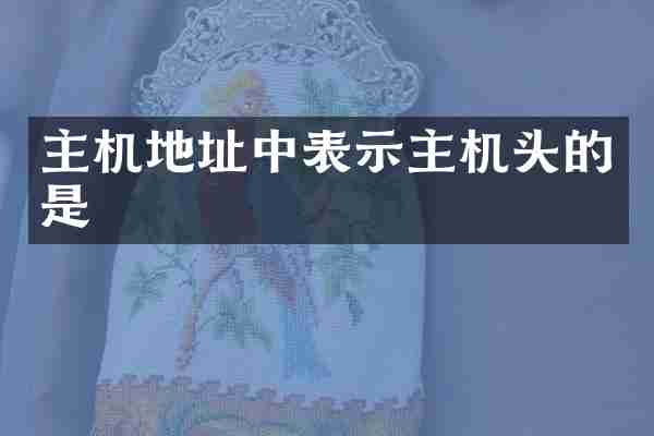 主机地址中表示主机头的是