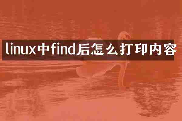 linux中find后怎么打印内容