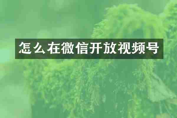 怎么在微信开放视频号