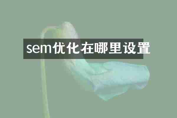 sem优化在哪里设置