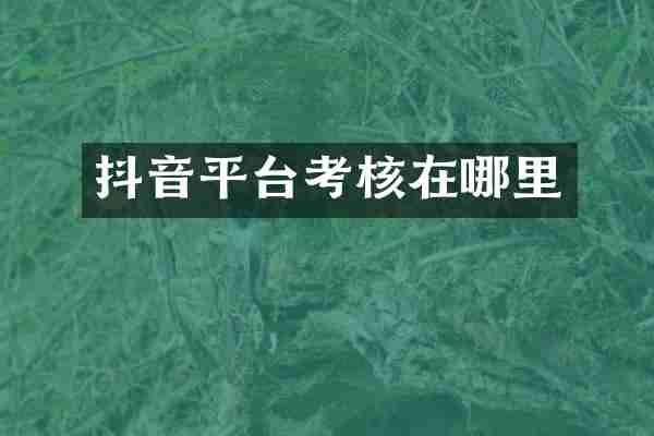 抖音平台考核在哪里