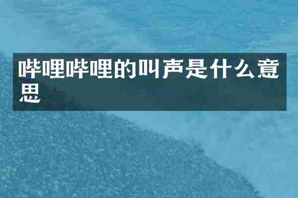 哔哩哔哩的叫声是什么意思