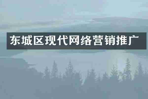 东城区现代网络营销推广
