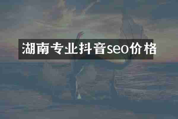 湖南专业抖音seo价格