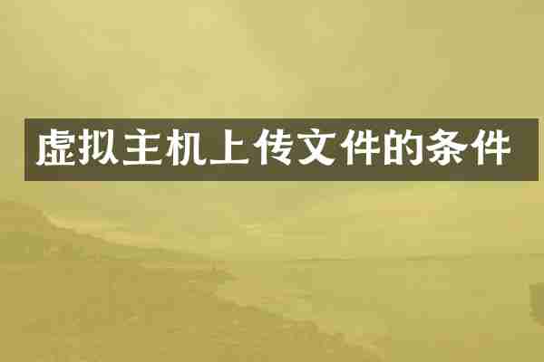 虚拟主机上传文件的条件