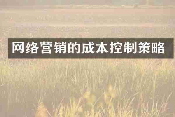 网络营销的成本控制策略