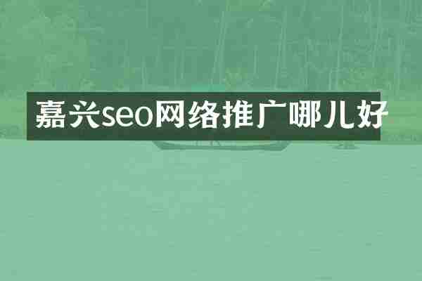 嘉兴seo网络推广哪儿好