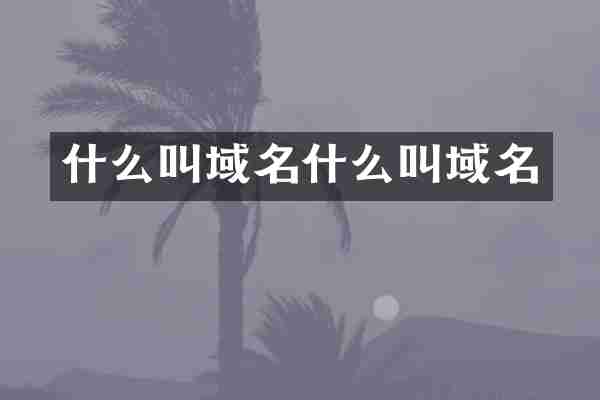 什么叫域名什么叫域名