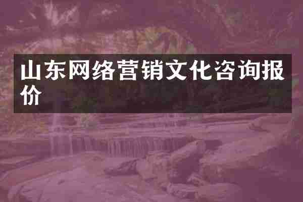 山东网络营销文化咨询报价