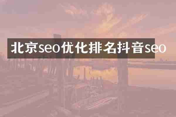 北京seo优化排名抖音seo