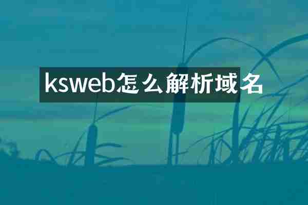 ksweb怎么解析域名