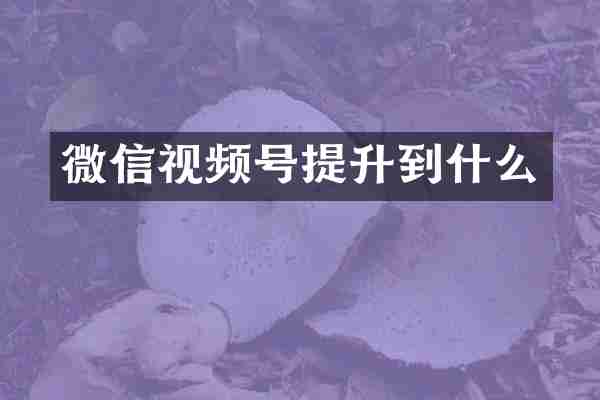 微信视频号提升到什么