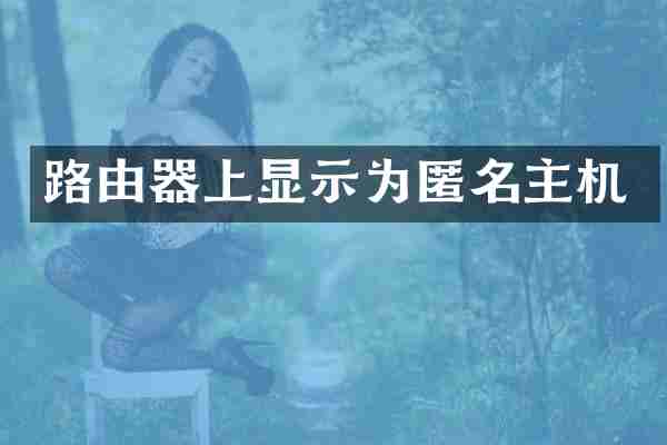 路由器上显示为匿名主机