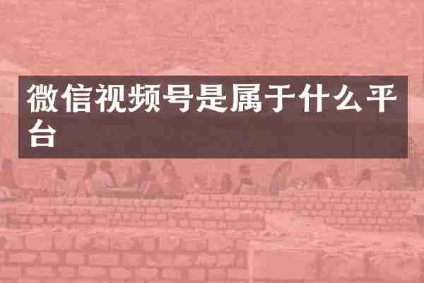 微信视频号是属于什么平台