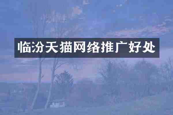 临汾天猫网络推广好处