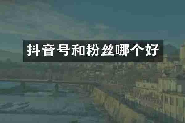 抖音号和粉丝哪个好