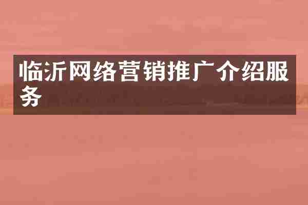 临沂网络营销推广介绍服务