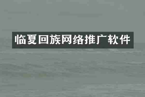 临夏回族网络推广软件
