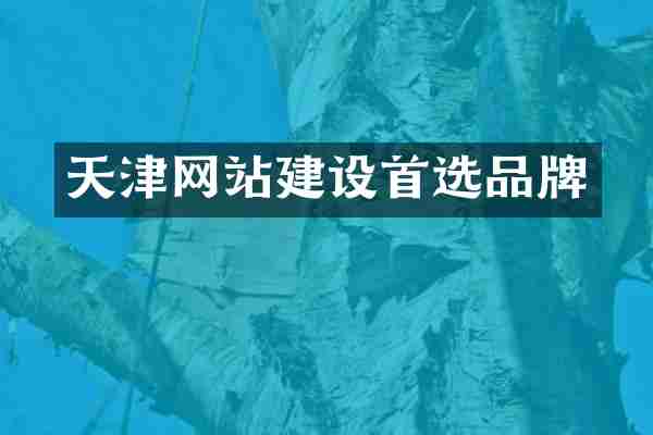 天津网站建设首选品牌