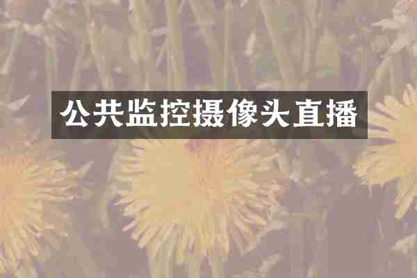 公共监控摄像头直播