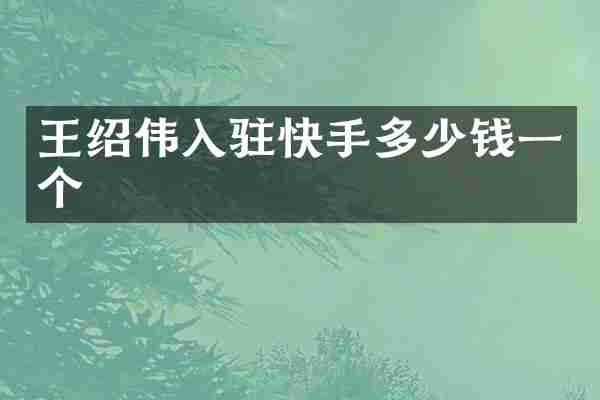 王绍伟入驻快手多少钱一个