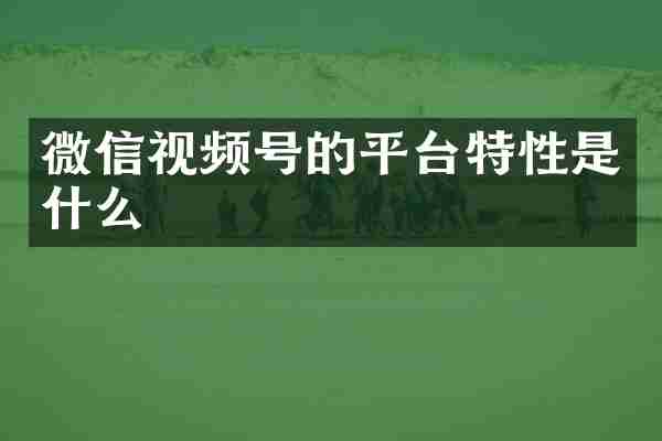 微信视频号的平台特性是什么