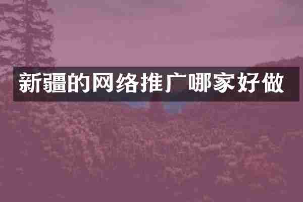 新疆的网络推广哪家好做