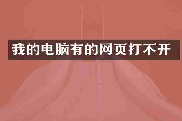 我的电脑有的网页打不开