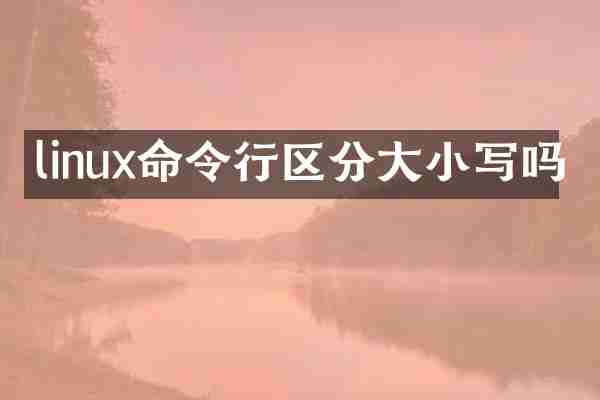 linux命令行区分大小写吗