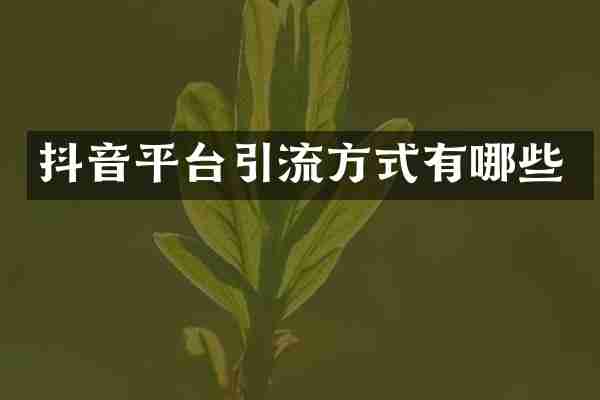 抖音平台引流方式有哪些