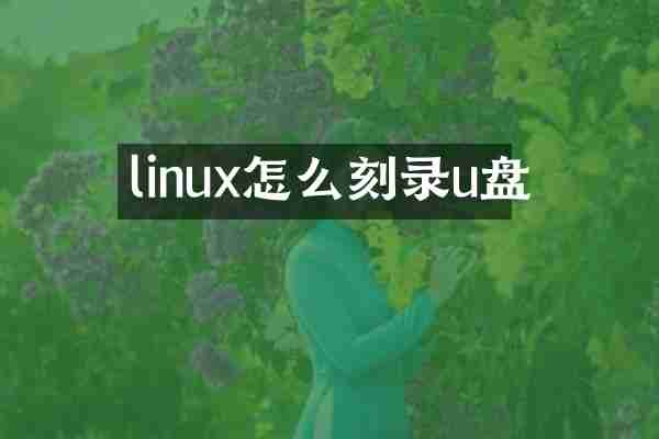 linux怎么刻录u盘