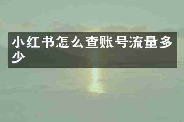 小红书怎么查账号流量多少