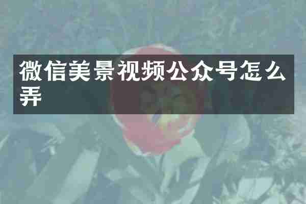 微信美景视频公众号怎么弄