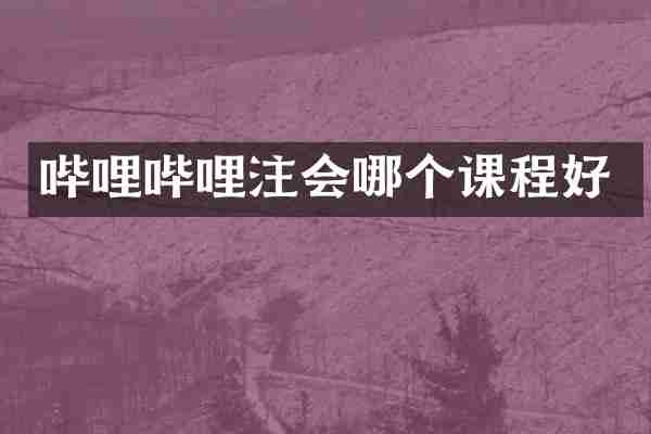 哔哩哔哩注会哪个课程好