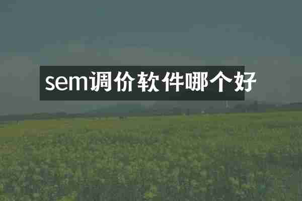 sem调价软件哪个好