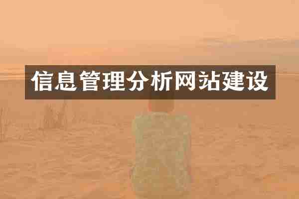 信息管理分析网站建设